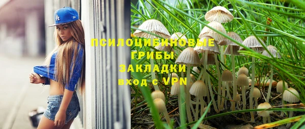 MESCALINE Тайга