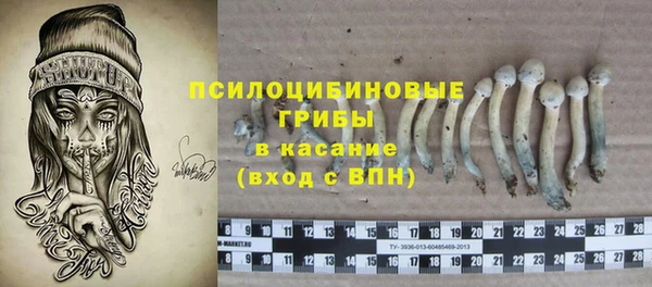 стафф Сясьстрой