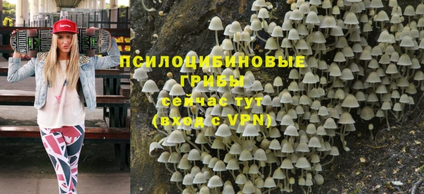 дурь Тавда