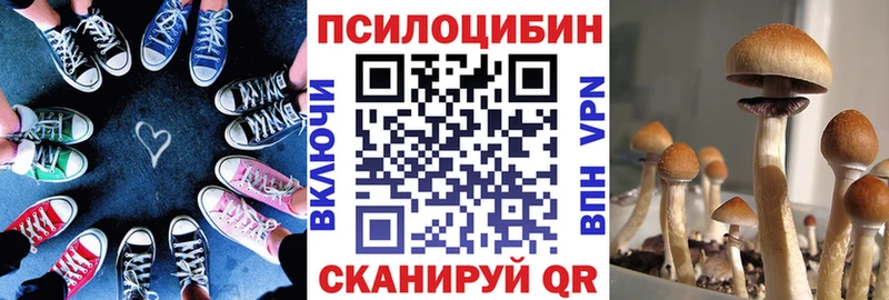 как найти наркотики  Тбилисская  Галлюциногенные грибы прущие грибы 